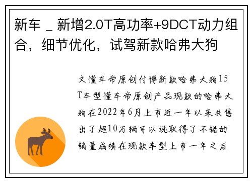 新车 _ 新增2.0T高功率+9DCT动力组合，细节优化，试驾新款哈弗大狗