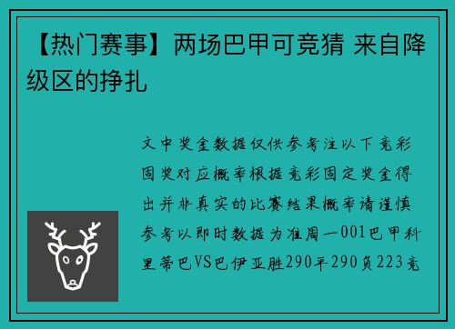 【热门赛事】两场巴甲可竞猜 来自降级区的挣扎