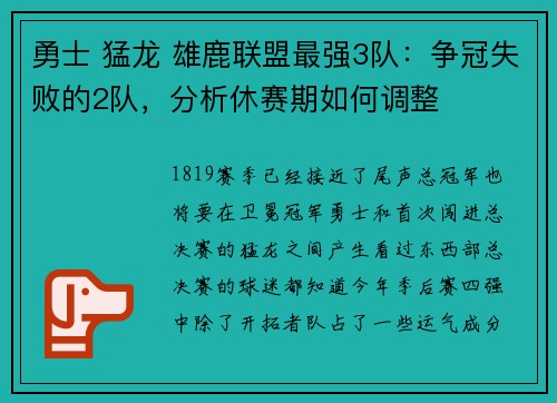 勇士 猛龙 雄鹿联盟最强3队：争冠失败的2队，分析休赛期如何调整